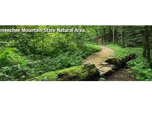 Take a HIKE! @ Occoneechee Mountain State Natural Area